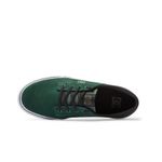 ADYS300172-GNM-10