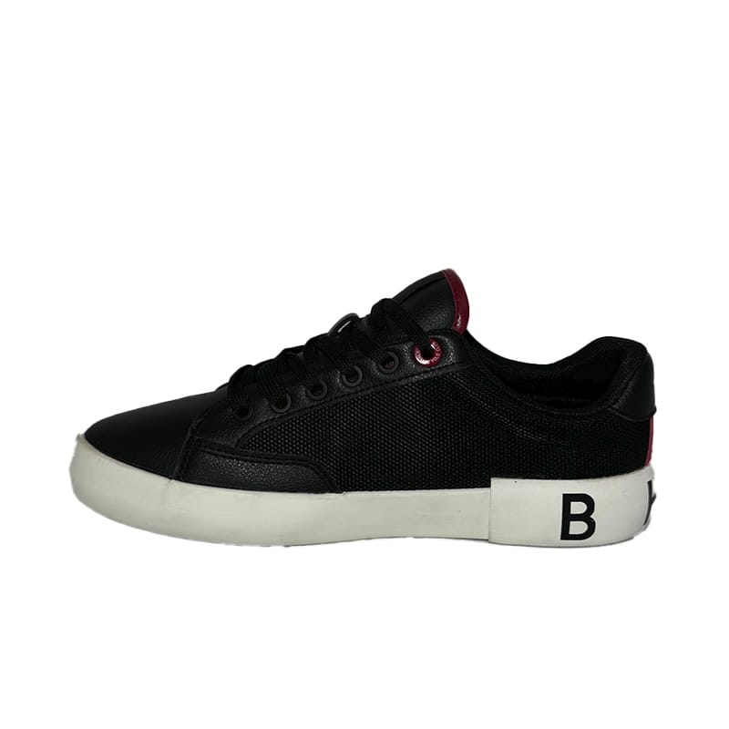FLOW-BLM2-3